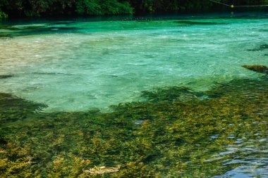 Arnavutluk 'un Saranda kenti yakınlarındaki Mavi Gözlü Doğa Anıtı' nın turkuaz ve yeşil suyu.