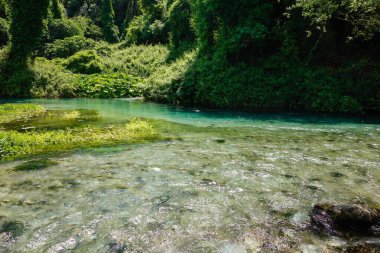 Arnavutluk 'un Saranda kenti yakınlarındaki Mavi Göz Doğa Anıtı' nda temiz su ve orman.