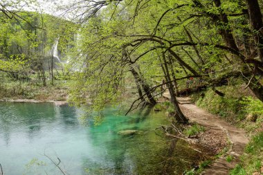 Hırvatistan 'daki Plitvice Gölleri Ulusal Parkı' nın muhteşem şelaleleri ve gölleri.