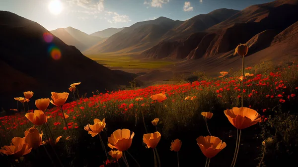 Poppies field in the mountains. High quality photo