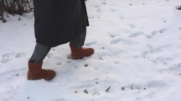 Woman Walking Snow Winter — Vídeos de Stock