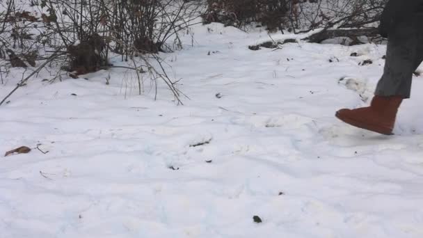 Woman Walking Snow Winter — Video