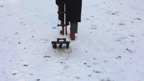 Женщина Тащит Тележку Снегу Зимой — стоковое видео
