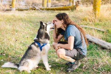 Yatay olarak çekilmiş bir fotoğraf. Bir adam, Husky 'siyle göz teması kurmak için çömelir. Antrenman sırasında karşılıklı anlayış ve saygı gösterir. Yaşam tarzı kavramı.