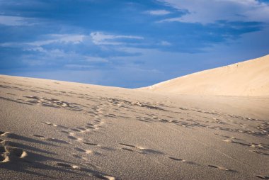 beautiful landscape with dunes in the beach