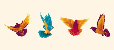 flying bird wings illustration design