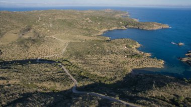 aerial view of the olive groves of cape de creus. High quality photo