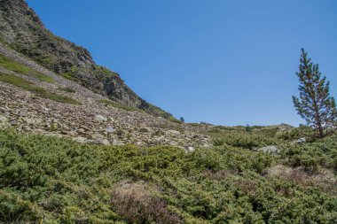 Pyrenees mountains landscape in spring. High quality photo