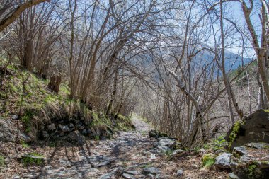 Pyrenees mountains landscape in spring. High quality photo