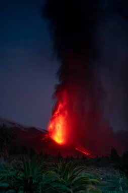 Erupting volcano on the island of La Palma, Canary Islands, Spain. High quality photo