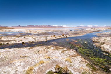 Bolivya altiplanosunun çöl manzarası. Yüksek kalite fotoğraf