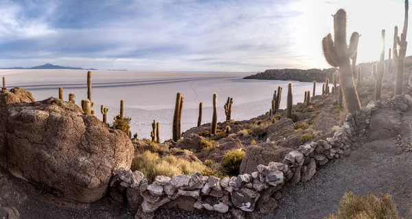 卡克图斯岛位于玻利维亚阿尔蒂普拉诺的Salar Uyuni 高质量的照片 — 图库照片