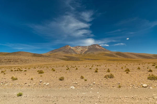 Paisaje Volcánico Altiplano Boliviano Foto Alta Calidad — Foto de Stock