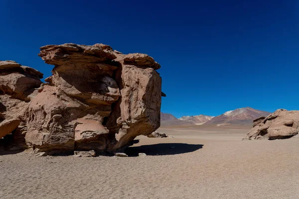 Stone Tree Bolivian Altiplano High Quality Photo — Stock Photo, Image