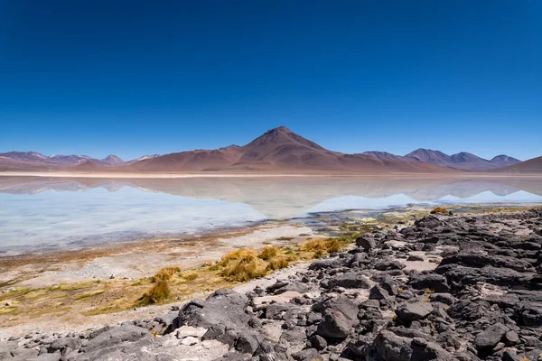 Ηφαιστειακό Τοπίο Στο Βολιβιανό Αλτιπλάνο Υψηλής Ποιότητας Φωτογραφία — Φωτογραφία Αρχείου