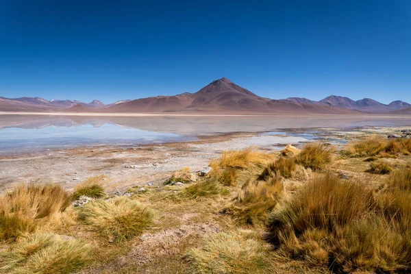 Sopečná Krajina Bolivijském Altiplanu Kvalitní Fotografie — Stock fotografie