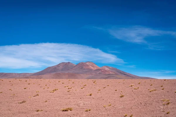 Pouštní Krajina Bolivijského Altiplana Kvalitní Fotografie — Stock fotografie