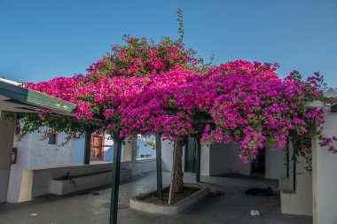 Santorini 'deki Oia köyünün manzarası. Yüksek kalite fotoğraf