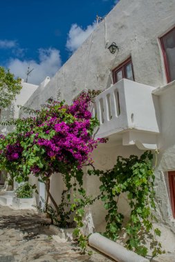 Mykonos köyünün manzarası. Yüksek kalite fotoğraf
