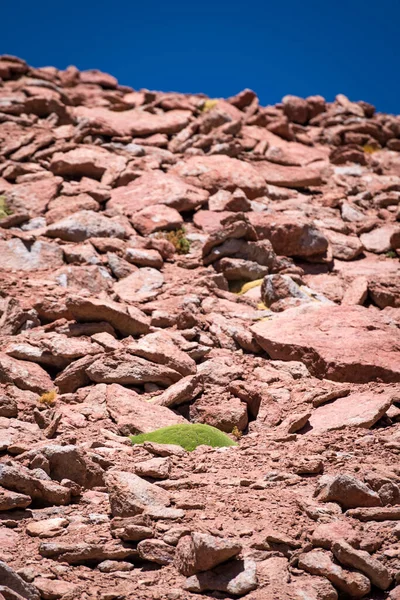 Woestijnlandschap Van Boliviaanse Altiplano Hoge Kwaliteit Foto — Stockfoto