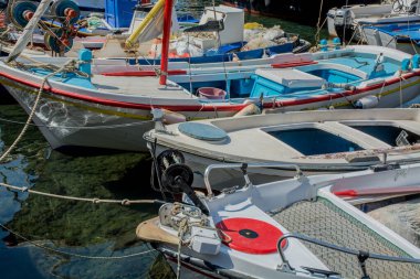 Yunanistan 'ın Santorini adasında eşekler. Yüksek kalite fotoğraf