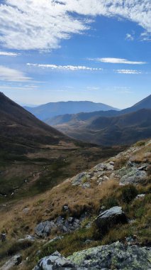 Katalan pirenelerinde yaz manzarası. Yüksek kalite fotoğraf