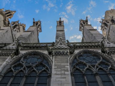 Notre Dame de Paris Katedrali. Yüksek kalite fotoğraf