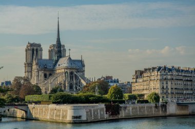 Notre Dame de Paris Katedrali. Yüksek kalite fotoğraf