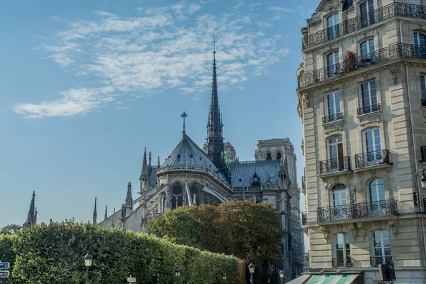 Собор Парижской Богоматери Высокое Качество Фото — стоковое фото