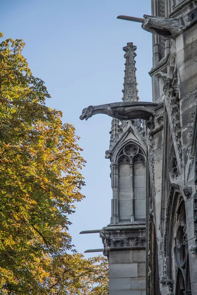 Собор Парижской Богоматери Высокое Качество Фото — стоковое фото