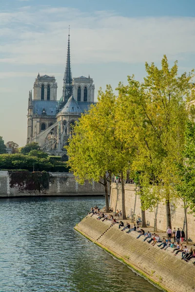 Katedra Notre Dame Paryżu Wysokiej Jakości Zdjęcie — Zdjęcie stockowe
