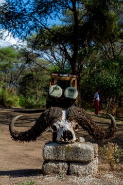 Serengeti Ulusal Parkı 'ndaki Savannah manzarası. Yüksek kalite fotoğraf