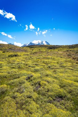 Torres del Paine Ulusal Parkı, Şili Patagonya. Yüksek kalite fotoğraf