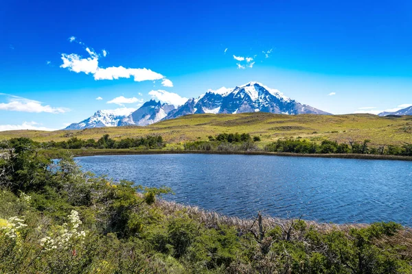 Taman Nasional Torres Del Paine Patagonia Chili Foto Berkualitas Tinggi — Stok Foto
