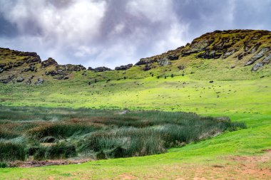 Rapa Nui, Paskalya Adası manzarası. Yüksek kalite fotoğraf