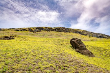 Moais, Rano Raraku taş ocağında, Rapa Nui, Paskalya Adası 'nda. Yüksek kalite fotoğraf