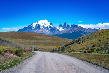 Torres del Paine Ulusal Parkı, Şili Patagonya. Yüksek kalite fotoğraf