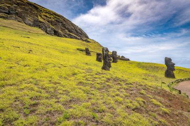 Moais, Rano Raraku taş ocağında, Rapa Nui, Paskalya Adası 'nda. Yüksek kalite fotoğraf