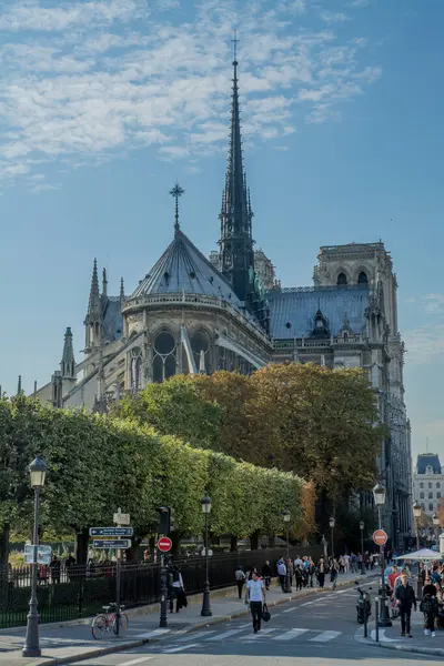 パリのノートルダム大聖堂 高品質の写真 — ストック写真