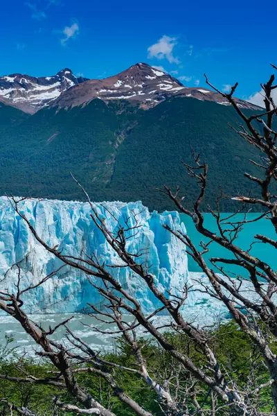 Perito Moreno 'nun Pampa Arjantin' deki buzul manzarası. Yüksek kalite fotoğraf