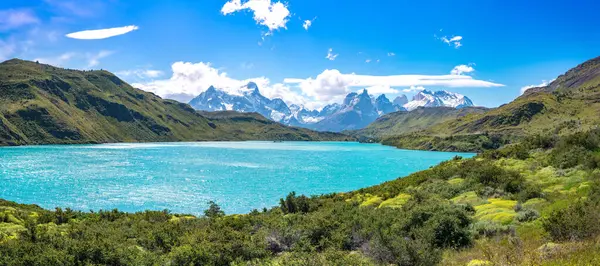 Parque Nacional Torres Del Paine Patagônia Chilena Foto Alta Qualidade — Fotografia de Stock