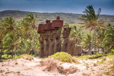 Anakena sahilinde moais, Rapa Nui, Paskalya Adası 'nda. Yüksek kalite fotoğraf