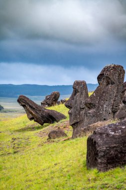 Moais, Rano Raraku taş ocağında, Rapa Nui, Paskalya Adası 'nda. Yüksek kalite fotoğraf