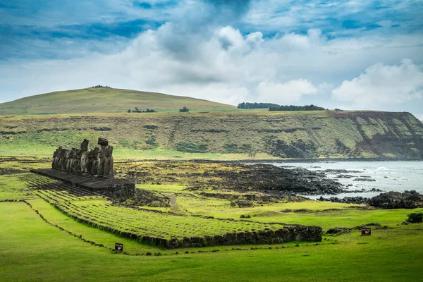 Tongariki 'de moais, Rapa Nui, Paskalya Adası. Yüksek kalite fotoğraf