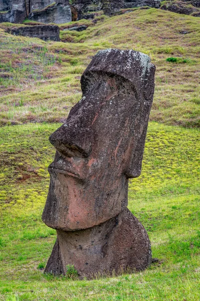 Moais Lomu Rano Raraku Rapa Nui Velikonoční Ostrov Kvalitní Fotografie — Stock fotografie