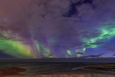 İzlanda 'da denizin üzerinde Aurora Borealis. Yüksek kalite fotoğraf