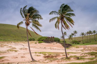 Anakena sahilinde moais, Rapa Nui, Paskalya Adası 'nda. Yüksek kalite fotoğraf