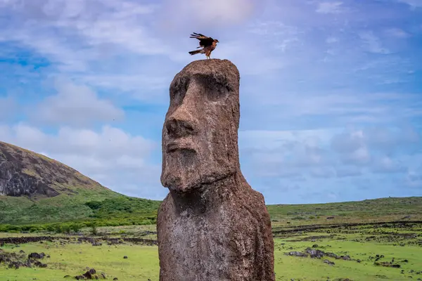 Tongariki 'de moais, Rapa Nui, Paskalya Adası. Yüksek kalite fotoğraf