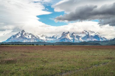 Torres del Paine Ulusal Parkı, Şili Patagonya. Yüksek kalite fotoğraf