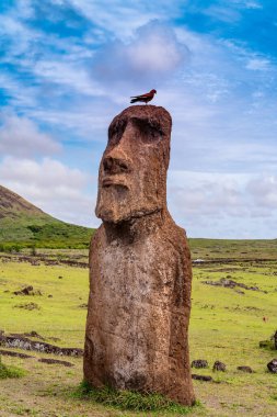 Tongariki 'de moais, Rapa Nui, Paskalya Adası. Yüksek kalite fotoğraf